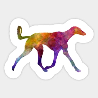 Saluki in watercolor Sticker